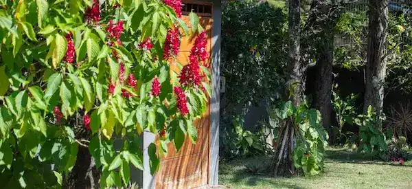 jardins casa maria maria